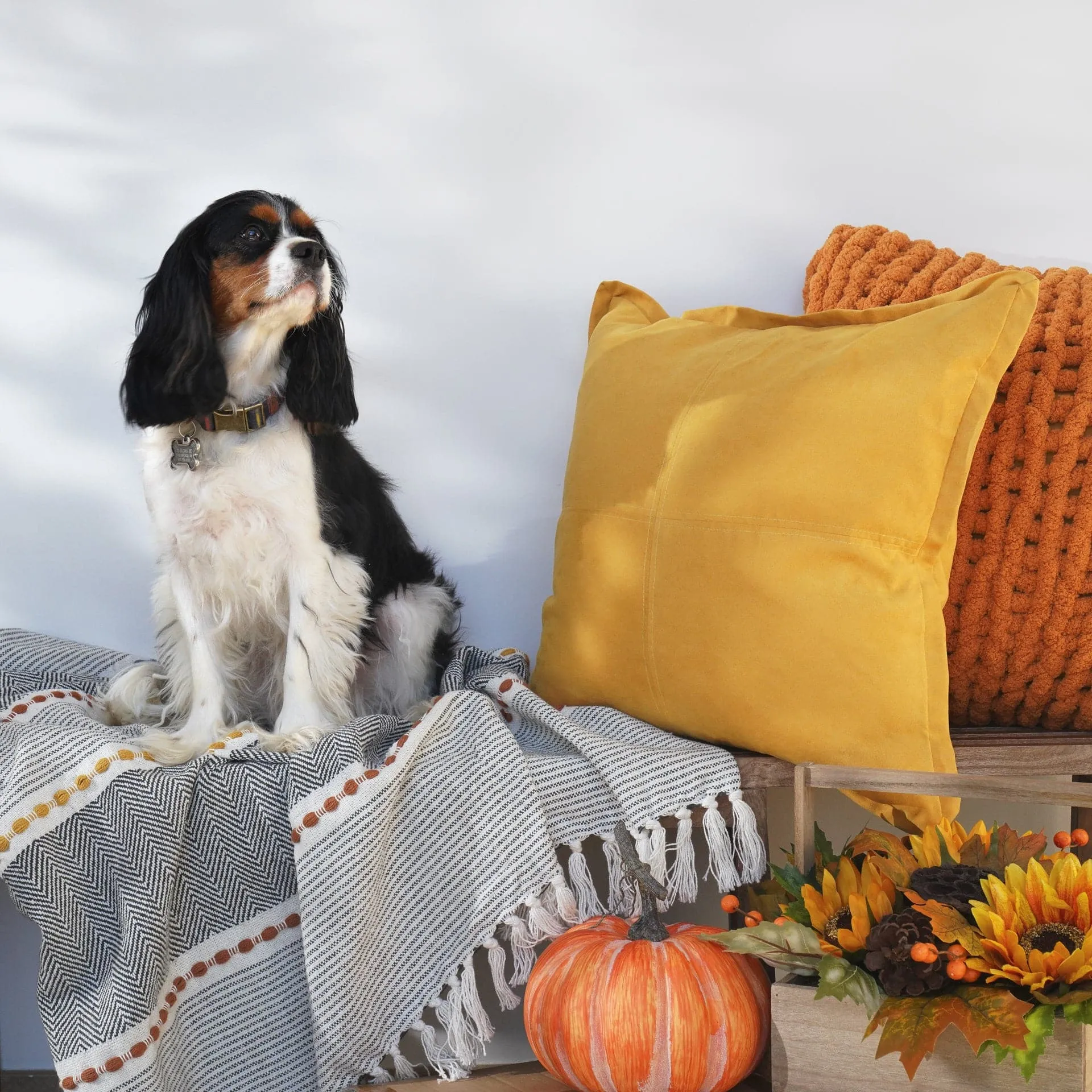 Herringbone Stripe Yarn Dyed Cotton Woven Tassel Throw